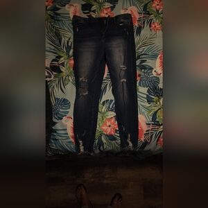 Judy Blue Jeans, Size 15
